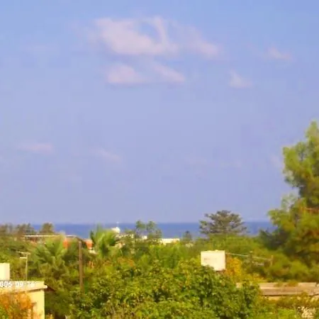 Amarilla *